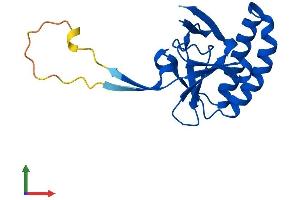 Protein Structure (PS) image for Tumor Protein, Translationally-Controlled 1 (TPT1) (AA 1-172) protein (His tag) (ABIN7544202)