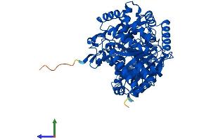 AlphaFold protein structure predicition of Human Recombinant CROT Protein, UniprotID Q9UKG9 (CROT Protein (AA 1-612) (His tag))