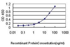 Detection limit for recombinant GST tagged VPS25 is approximately 0. (VPS25 antibody  (AA 1-176))