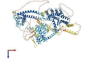 SIN3B Protein (AA 1-1098) (His tag)