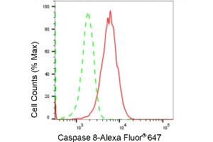 Flow cytometric analysis of Caspase 8 beta expression in HeLa cells using Caspase 8 beta antibody (ABIN7797907), 1:2,000). (Recombinant Caspase 8 antibody)