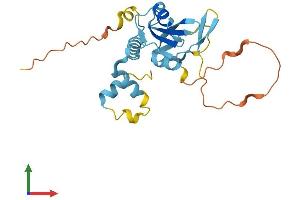 AlphaFold protein structure predicition of Mouse Recombinant Socs3 Protein, UniprotID O35718 (SOCS3 Protein (AA 1-225) (His tag))