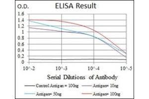 ELISA image for anti-Thrombopoietin (THPO) antibody (ABIN1109245) (Thrombopoietin antibody)