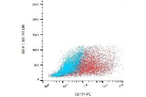 Surface staining of human PMA + ionomycin activated PBMC with anti-human CD134 (Ber-ACT35) PE. (TNFRSF4 antibody  (PE))