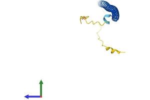AlphaFold protein structure predicition of Mouse Recombinant Batf3 Protein, UniprotID Q9D275 (BATF3 Protein (AA 1-118) (His tag))