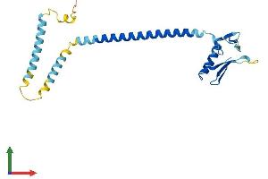 Protein Structure (PS) image for RPA Interacting Protein (RPAIN) (AA 1-219) protein (His tag) (ABIN7551389)