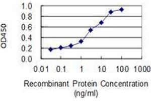 Detection limit for recombinant GST tagged USP11 is 0. (USP11 antibody  (AA 201-300))