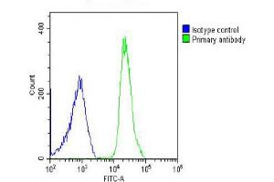 Overlay histogram showing U-2OS cells stained with (ABIN6243678 and ABIN6578556) (green line). (GPR175 antibody  (AA 16-47))
