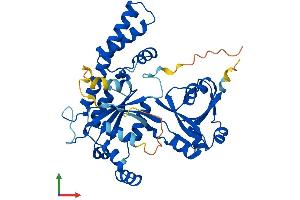 AlphaFold protein structure predicition of Human Recombinant OLA1 Protein, UniprotID Q9NTK5 (OLA1 Protein (AA 1-396) (His tag))