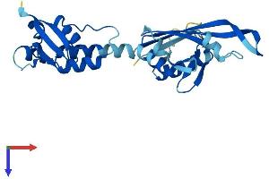 AlphaFold protein structure predicition of Human Recombinant KCTD21 Protein, UniprotID Q4G0X4