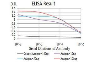 Black line: Control Antigen (100 ng),Purple line: Antigen (10 ng), Blue line: Antigen (50 ng), Red line:Antigen (100 ng) (YWHAB antibody  (AA 1-246))