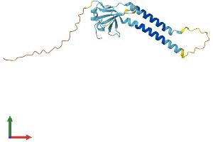 AlphaFold protein structure predicition of Human Recombinant TMEM223 Protein, UniprotID A0PJW6 (TMEM223 Protein (AA 1-202) (His tag))