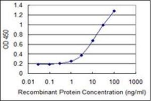 ELISA image for anti-Malate Dehydrogenase 2, NAD (Mitochondrial) (MDH2) antibody (ABIN953359) (MDH2 antibody)