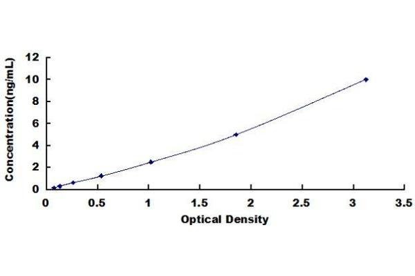 CAPN10 ELISA Kit