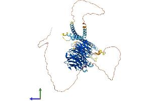AlphaFold protein structure predicition of Mouse Recombinant Cop1 Protein, UniprotID Q9R1A8 (RFWD2 Protein (AA 1-733) (His tag))