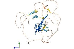 Protein Structure (PS) image for Forkhead Box P2 (FOXP2) (AA 1-714) protein (His tag) (ABIN7563468)