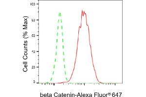 Flow cytometric analysis of beta Catenin expression in C2C12 cells using beta Catenin antibody (ABIN7797936), 1:2,000). (Recombinant beta Catenin antibody)
