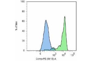 Flow cytometry analysis (surface staining) of GCPII / PSMA using anti-GCPII (GCP-05) and goat anti-mouse-PE on LNCaP cell line (positive, green) and HeLa cells (negative, blue). (PSMA antibody  (AA 44-750))