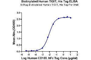 Immobilized Biotinylated Human TIGIT, His Tag at 0. (TIGIT Protein (AA 22-141) (His-Avi Tag,Biotin))
