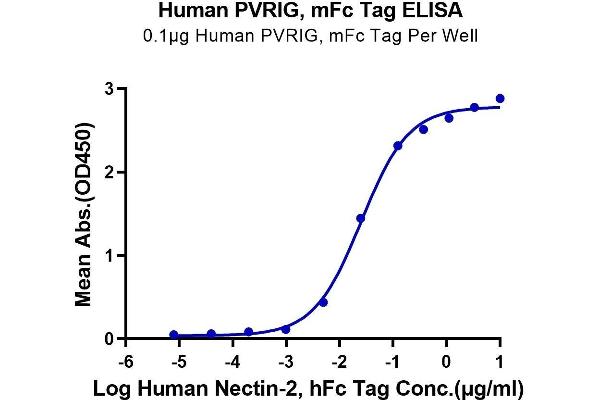 PVRIG Protein (mFc Tag)