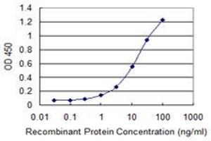 Detection limit for recombinant GST tagged MOBP is 0. (MOBP antibody  (AA 1-81))
