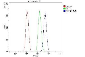 Flow Cytometry analysis of A549 cells using anti-XPC antibody (ABIN7600078). (XPC antibody  (AA 146-838))