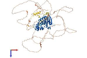 AlphaFold protein structure predicition of Mouse Recombinant Fam83c Protein, UniprotID A2ARK0