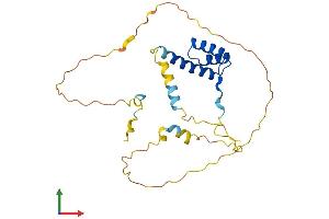 AlphaFold protein structure predicition of Mouse Recombinant Emx1 Protein, UniprotID Q04742