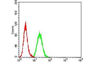 Flow cytometric analysis of HeLa cells using BCL2L10 mouse mAb (green) and negative control (red). (BCL2L10 antibody  (AA 31-186))