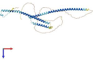 WTAP Protein (AA 1-396) (His tag)