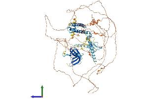 AlphaFold protein structure predicition of Human Recombinant PHF20L1 Protein, UniprotID A8MW92 (PHF20L1 Protein (AA 1-1017) (His tag))