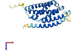 AlphaFold protein structure predicition of Human Recombinant HACD4 Protein, UniprotID Q5VWC8 (PTPLAD2 Protein (AA 1-232) (His tag))