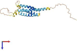 Na+/K+ Transporting ATPase Interacting 4 (NKAIN4) (AA 1-208) protein (His tag)