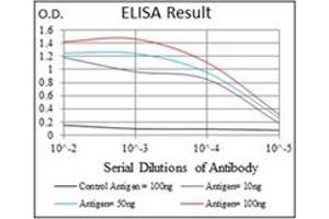 ELISA image for anti-Forkhead Box O1 (FOXO1) antibody (ABIN1107270)