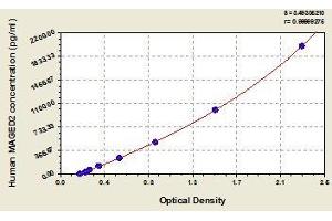 Typical standard curve (MAGED2 ELISA Kit)