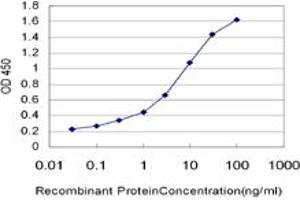 Detection limit for recombinant GST tagged RPS6KB2 is approximately 0. (RPS6KB2 antibody  (AA 1-100))