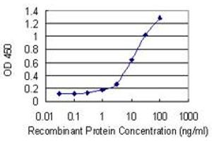 Detection limit for recombinant GST tagged HSF4 is 0. (HSF4 antibody  (AA 121-220))