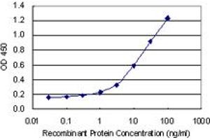 Detection limit for recombinant GST tagged NDNL2 is 0. (Necdin-Like 2 antibody  (AA 2-52))