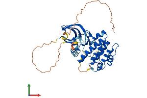 Protein Structure (PS) image for Aurora Kinase B (AURKB) (AA 1-344) protein (His tag) (ABIN7552497)