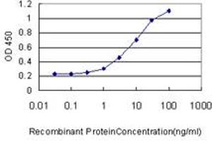 ELISA image for anti-Eukaryotic Translation Initiation Factor 4 gamma 3 (EIF4G3) (AA 1-515) antibody (ABIN563748)