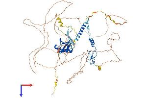 AlphaFold protein structure predicition of Human Recombinant ZFAND4 Protein, UniprotID Q86XD8