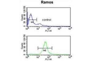 Flow Cytometry (FACS) image for anti-UDP-Gal:betaGal beta 1,3-Galactosyltransferase Polypeptide 6 (B3GALT6) antibody (ABIN3002204) (B3GALT6 antibody)