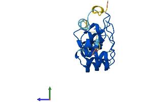 Protein Structure (PS) image for Protein Phosphatase 1, Regulatory Subunit 27 (PPP1R27) (AA 1-154) protein (His tag) (ABIN7560862)