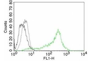 Flow cytometry testing of 293T cells. (Nucleolin antibody)