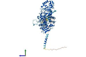 Protein Structure (PS) image for Exostosin 2 (EXT2) (AA 1-718) protein (His tag) (ABIN7553850)