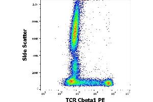 Flow cytometry surface staining pattern of human peripheral whole blood stained using anti-human TCR Cbeta1 (JOVI. (TCR, Cbeta1 antibody (PE))
