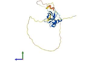 AlphaFold protein structure predicition of Mouse Recombinant Hdgfl3 Protein, UniprotID Q9JMG7