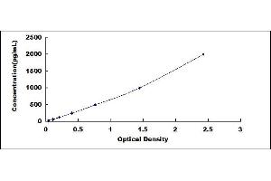 Typical standard curve (BDNF ELISA Kit)