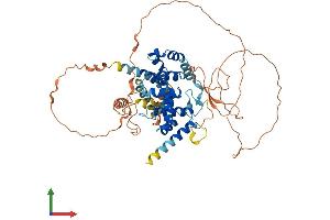 AlphaFold protein structure predicition of Human Recombinant TBC1D3I Protein, UniprotID A0A087WXS9 (TBC1D3B Protein (AA 1-549) (His tag))
