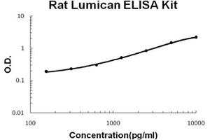Rat Lumican PicoKine ELISA Kit standard curve